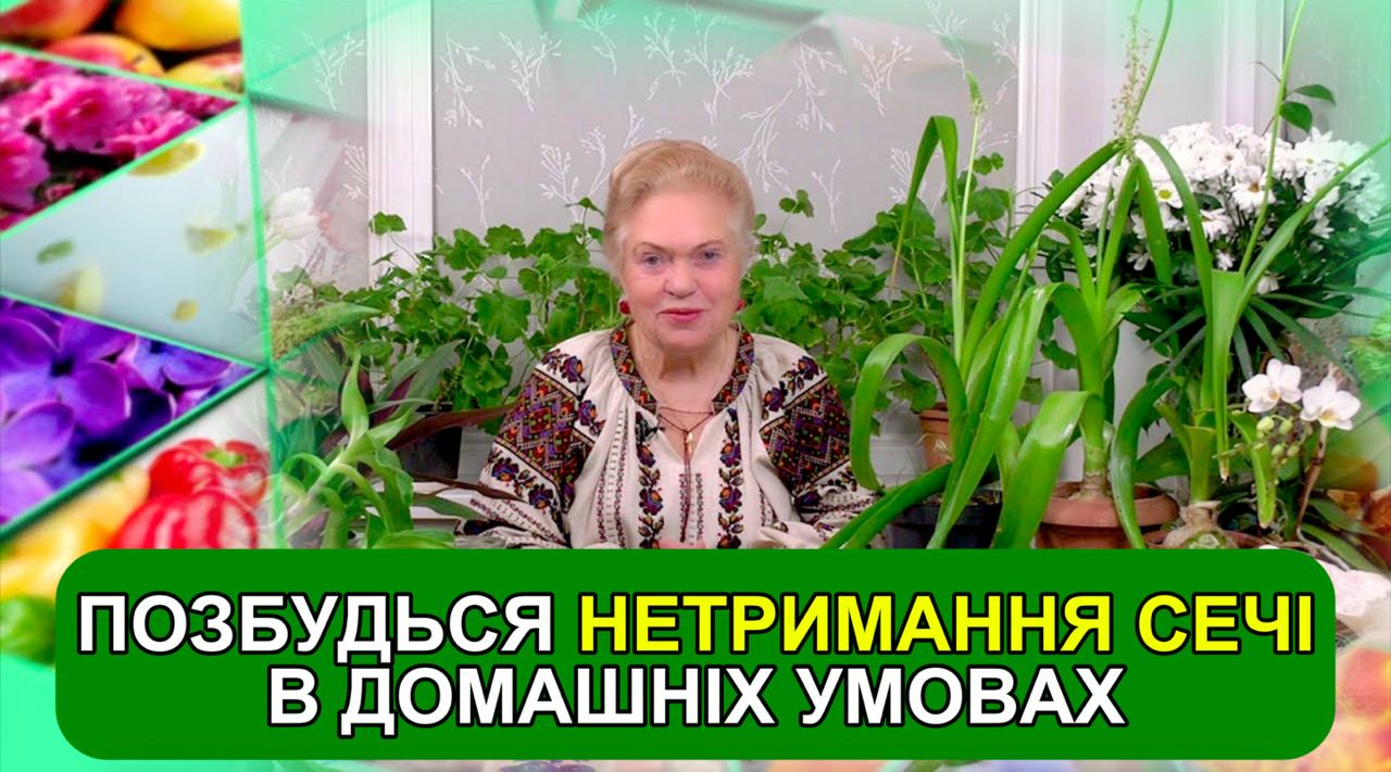 Головне зображення